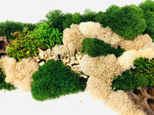 Load image into Gallery viewer, Moss North Carolina