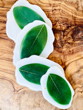 Load image into Gallery viewer, Leaf Coasters