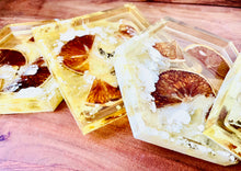 Load image into Gallery viewer, Dried Orange Coasters