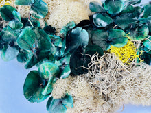 Load image into Gallery viewer, Terrarium North Carolina