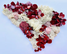 Load image into Gallery viewer, Terrarium South Carolina