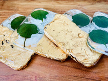 Load image into Gallery viewer, Eucalyptus Coasters