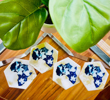 Load image into Gallery viewer, Cyanotype In the Beginning Coasters