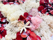 Load image into Gallery viewer, Terrarium South Carolina