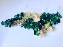 Load image into Gallery viewer, Terrarium North Carolina