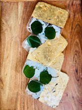 Load image into Gallery viewer, Eucalyptus Coasters