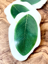 Load image into Gallery viewer, Leaf Coasters
