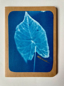 Cyanotype Notebook: Caladium