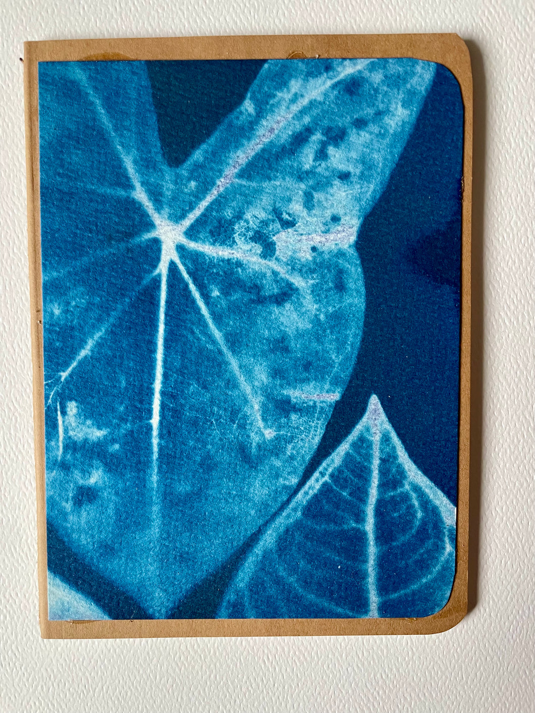 Cyanotype Notebook: Caladiums