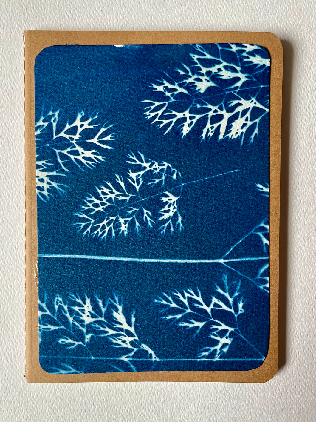 Cyanotype Notebook: Carrot Greens